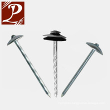 Low carbon steel umbrella head Galvanized roofing nail